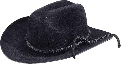 felt cowboy hats with trim