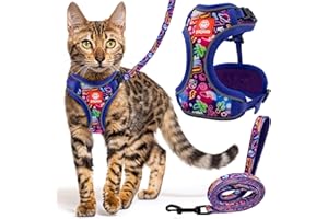 Petgrove Cat Harness and Leash Set for Walking, Escape Proof Vest Harnesses for Cats, Breathable Mesh with Reflective Strips - (Neon Nights), X-Small