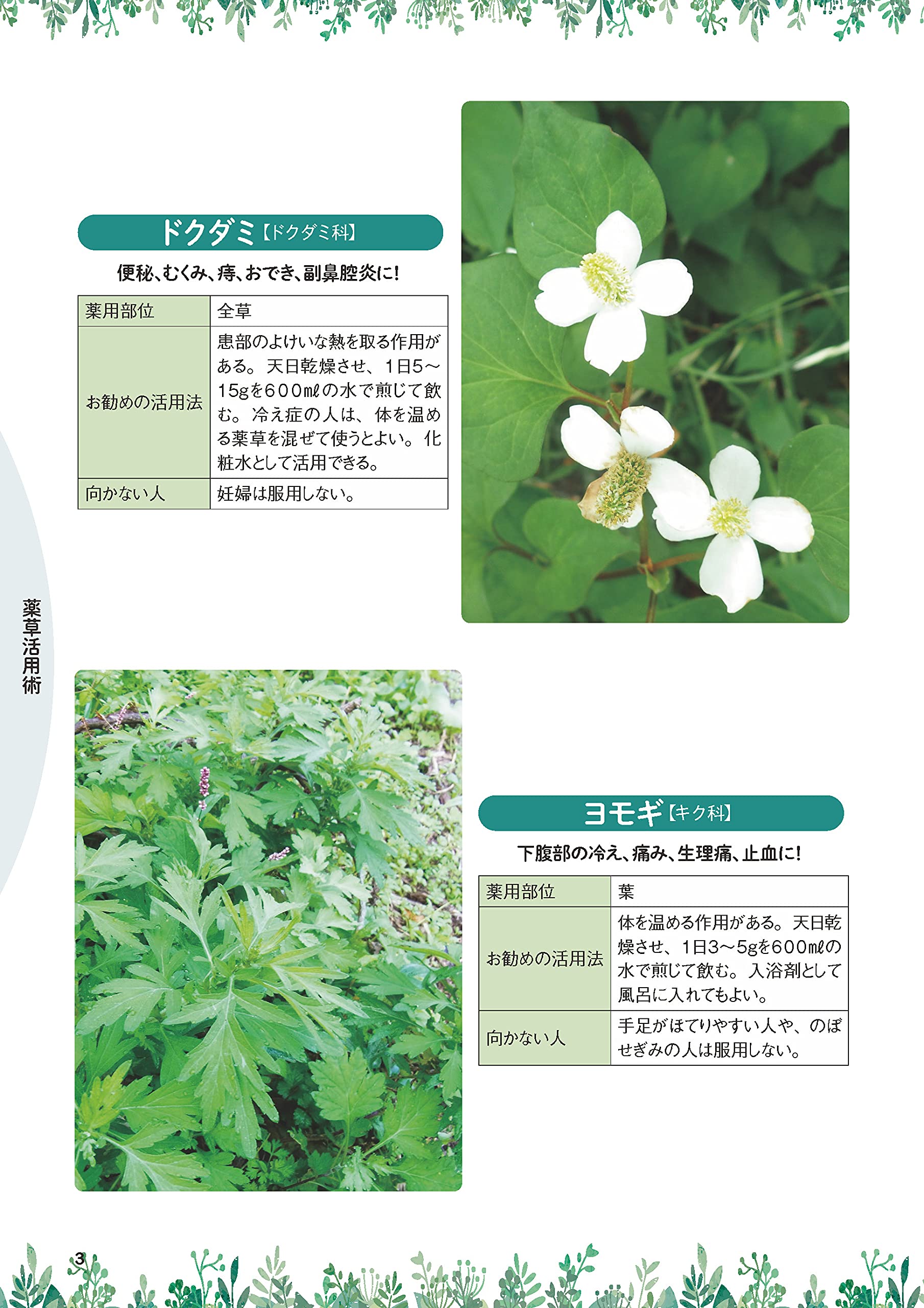 体の不調を自分で治す 薬草図鑑 マキノ出版ムック 企画編集部 本 通販 Amazon