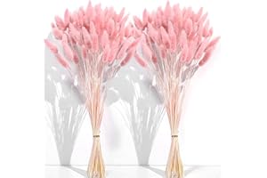 CKBT 120 PCS Pink Dried Pampas Grass Decor, 17-inch Pompas Floral, Dry Flowers for Decoration, Pampas Grass in Bulk Tall, Pink Bunny Tails Dried Flowers for Boho Wedding Decor