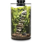 Desktop Glass Plant Terrarium with Grow Light for Carnivorous Plants &amp; Moss | H9.8 x D5.9 in; Timer Auto On/Off; For Succulents, Mini Plants and Betta Tanks; Indoor Decor for Home or Office; Gifts