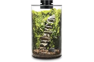 AREPK Desktop Glass Plant Terrarium with Grow Light (H:9.8" D:5.9"), for Succulent, Moss, Miniature Gardening Landscape, Betta Fish Tank, Office Home Decoration, Plant Lovers Gifts