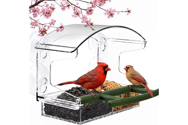 Kingsyard Window Bird Feeder with 4 Extra Strong Suction Cups | Crystal Clear Durable PC, Extended Perch, Lift-Out Seed Tray,