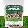 Natural & Non-GMO Pet Grass Seed Blend ((1/2 Pound (8oz) (227 Grams)) with Rye, Wheat, Barley, Oat Product of Canada. Bring T