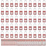 SAFBY 50 Keyed Different Lockout Tagout Locks with
