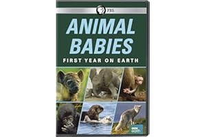 Animal Babies: First Year On Earth