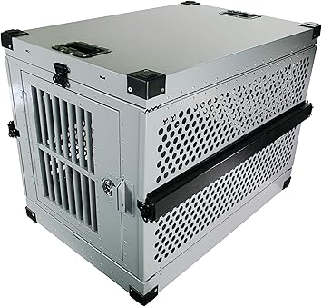 best treatment for cat dandruff