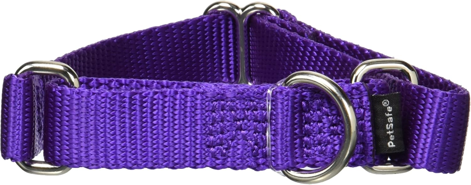Amazon Com Petsafe Martingale Collar 3 4 Small Deep Purple Pet Choke Collars Pet Supplies