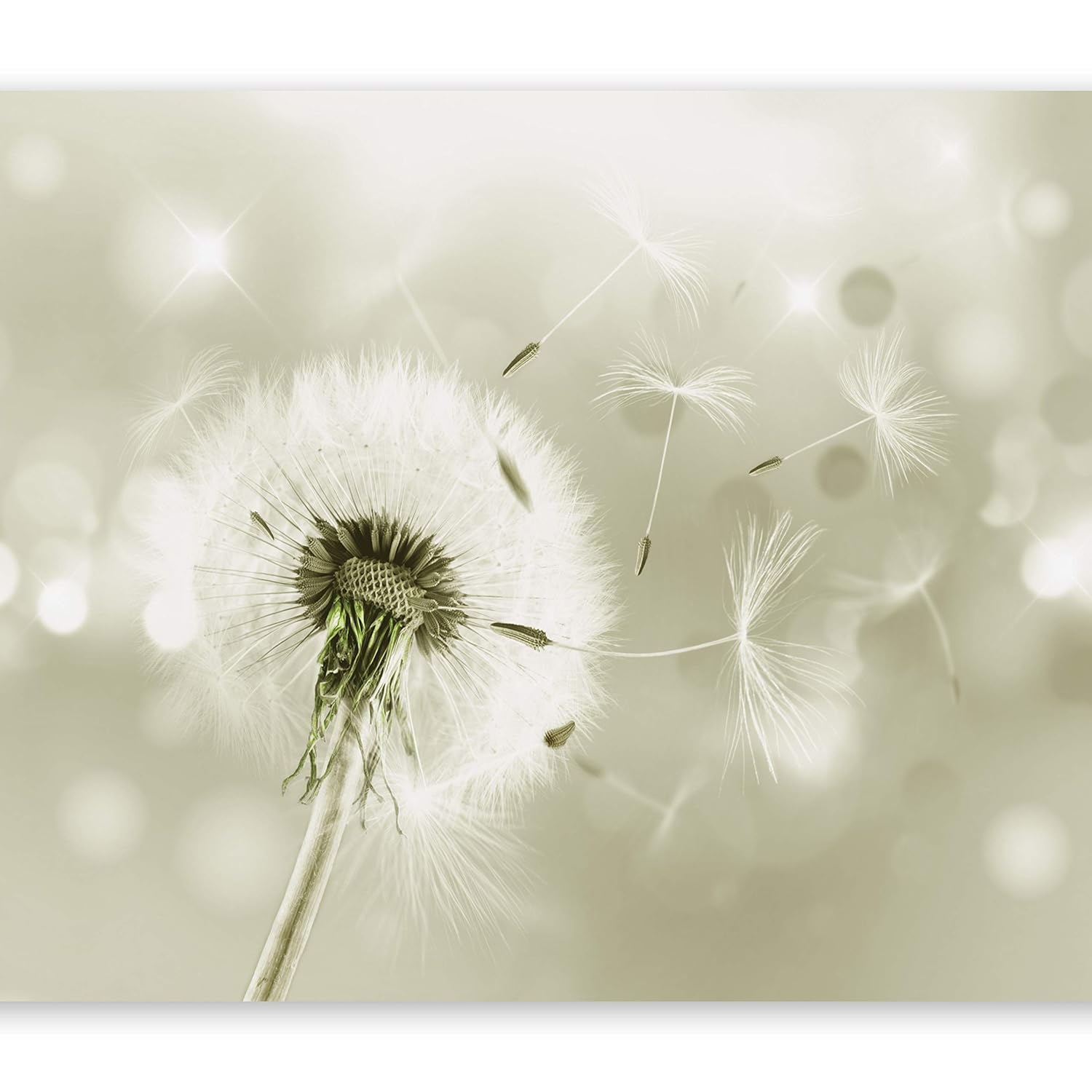 Fangfei Wall Etiqueta Engomada Desprendible De La Flor De Mariposa