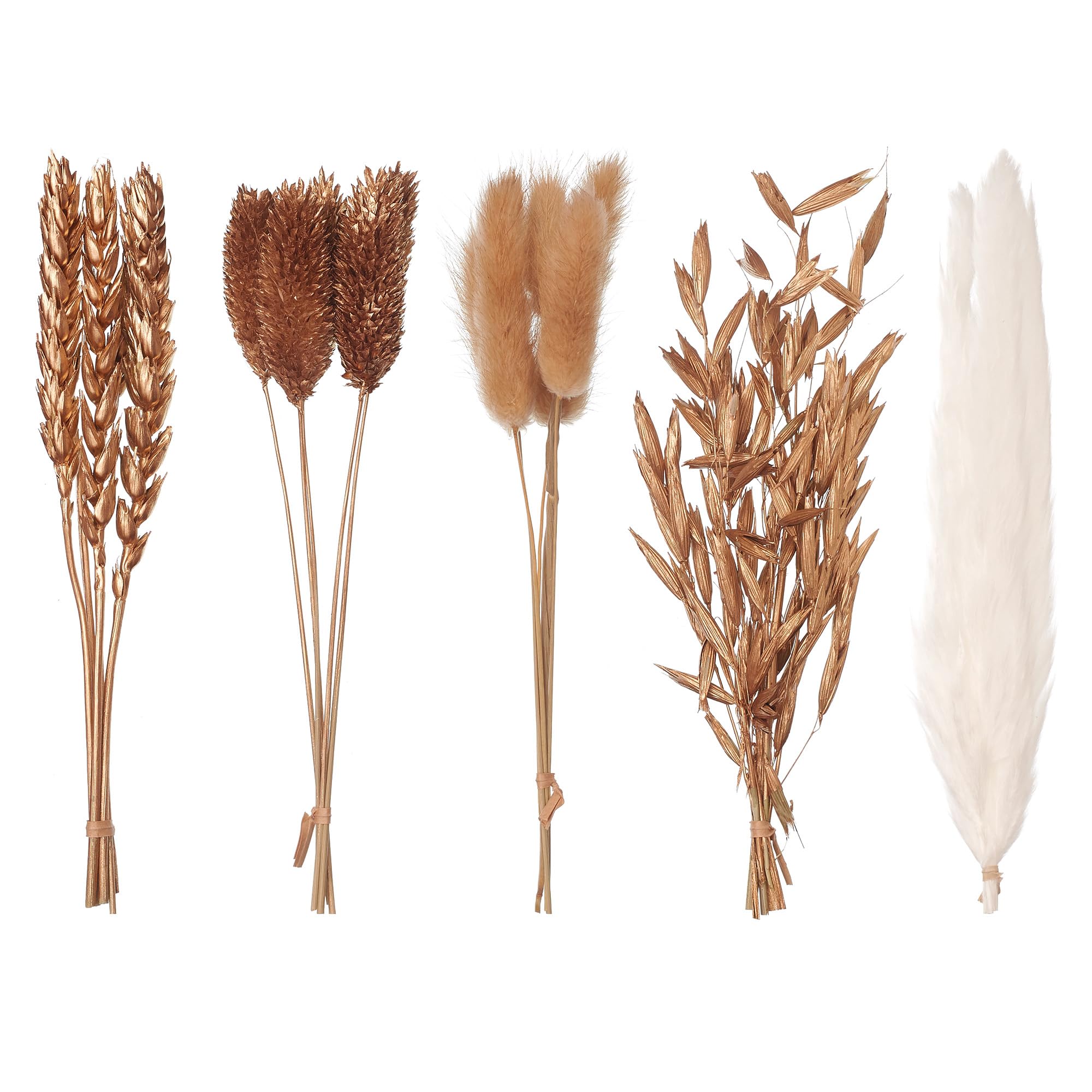 The Baked Studio – Original Dried Mixed Flower Cake Decoration Set | Pampas, Oats, Wheat, Lagurus Bunny Tails & Phalaris | Floral Cake Topper Arrangement for Cakes, Cupcakes & Craft Projects (Gold)