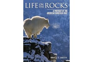 Life on the Rocks: A Portrait of the American Mountain Goat