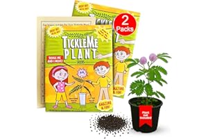 TickleMe Plant Seeds for Indoor Planting (2-Pack) – Unique Stocking Stuffer Idea | Leaves Close When Touched, Reopen in Minutes – Easy Indoor House Plant Seeds, Can Flower, Includes 10 Fun Activities