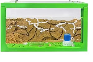 AntHouse - Natural Sand Ant Farm | 3D Green Starter Kit 7.87 x 3.94 x 3.94 in