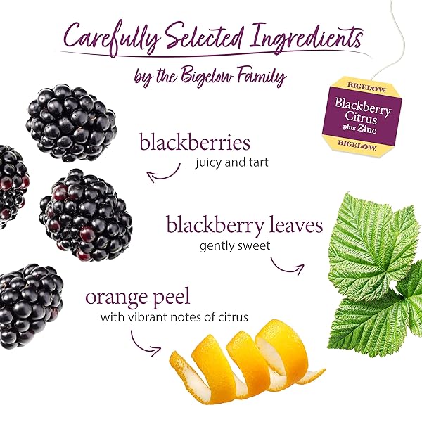 BIGELOW TEA BLACKBERRY CITRUS PLUS ZINC HERBAL TEA, CAFFEINE FREE, 18 TOTAL TEA BAGS (PACK OF 1)