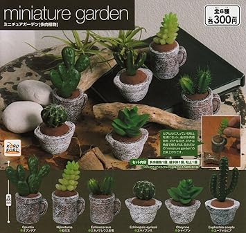 Amazon Miniature Garden ミニチュアガーデン 多肉植物 全6種セット ガチャガチャ カプセル玩具 おもちゃ