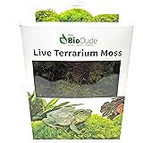BIODUDE Live Terrarium Moss - Natural Pillow Moss