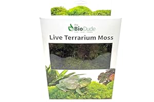 BIODUDE Live Terrarium Moss - Natural Pillow Moss