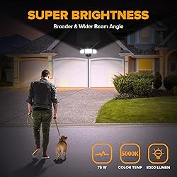 LUTEC 75W 8000 Lumen Floods Light Outdoor, Switch