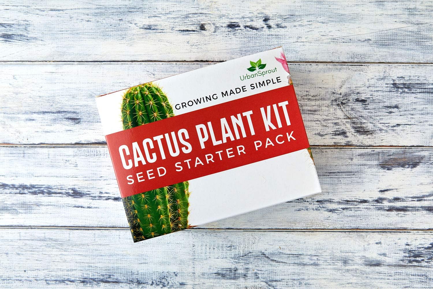Grow Your Own Cactus Kit - 5 Seed Varieties with Complete Starter Tools - Eco-Friendly Indoor Gardening Gift Set - Image 5