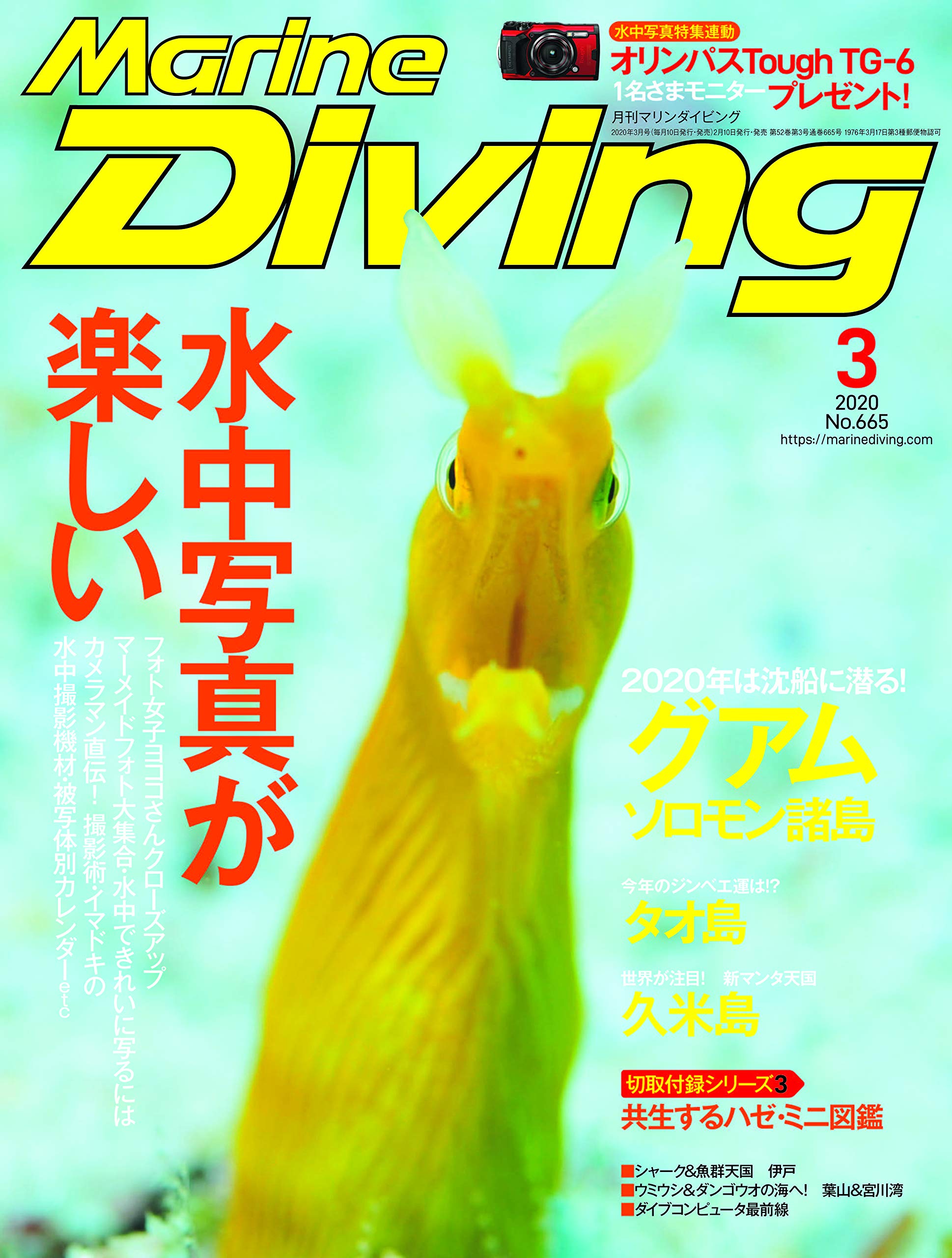 Marine Diving マリンダイビング 年03月号no 665 雑誌 本 通販 Amazon