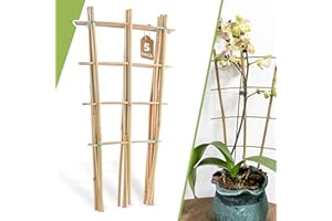 BIOTOLOT 5 Pack 16" Bamboo Trellis for Climbing Plants-Natural Garden Ladder Fan -Shaped Plants Support Trellis for Potted Plant Decor in Door