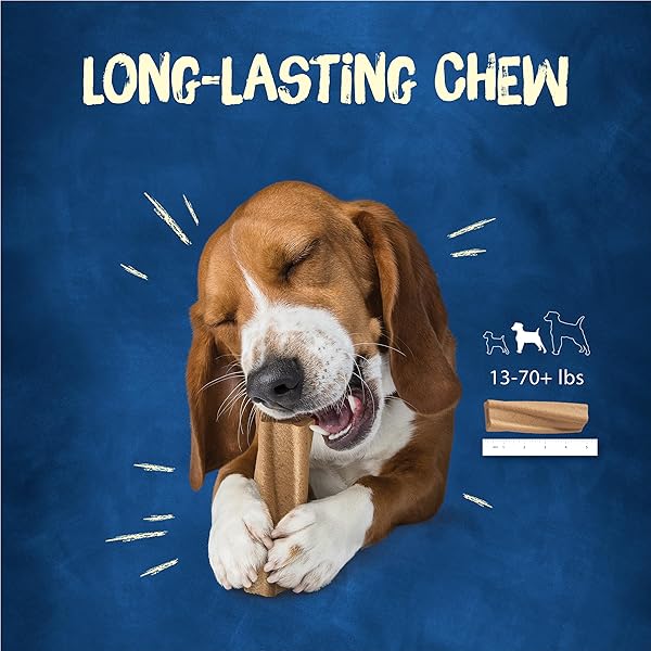 PURINA BUSY BONE ADULT DOG CHEW BONE TREATS, PEANUT BUTTER – 6 CT. POUCH