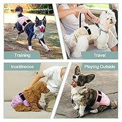 Grecle Female Dog Diapers - Premium Reusable