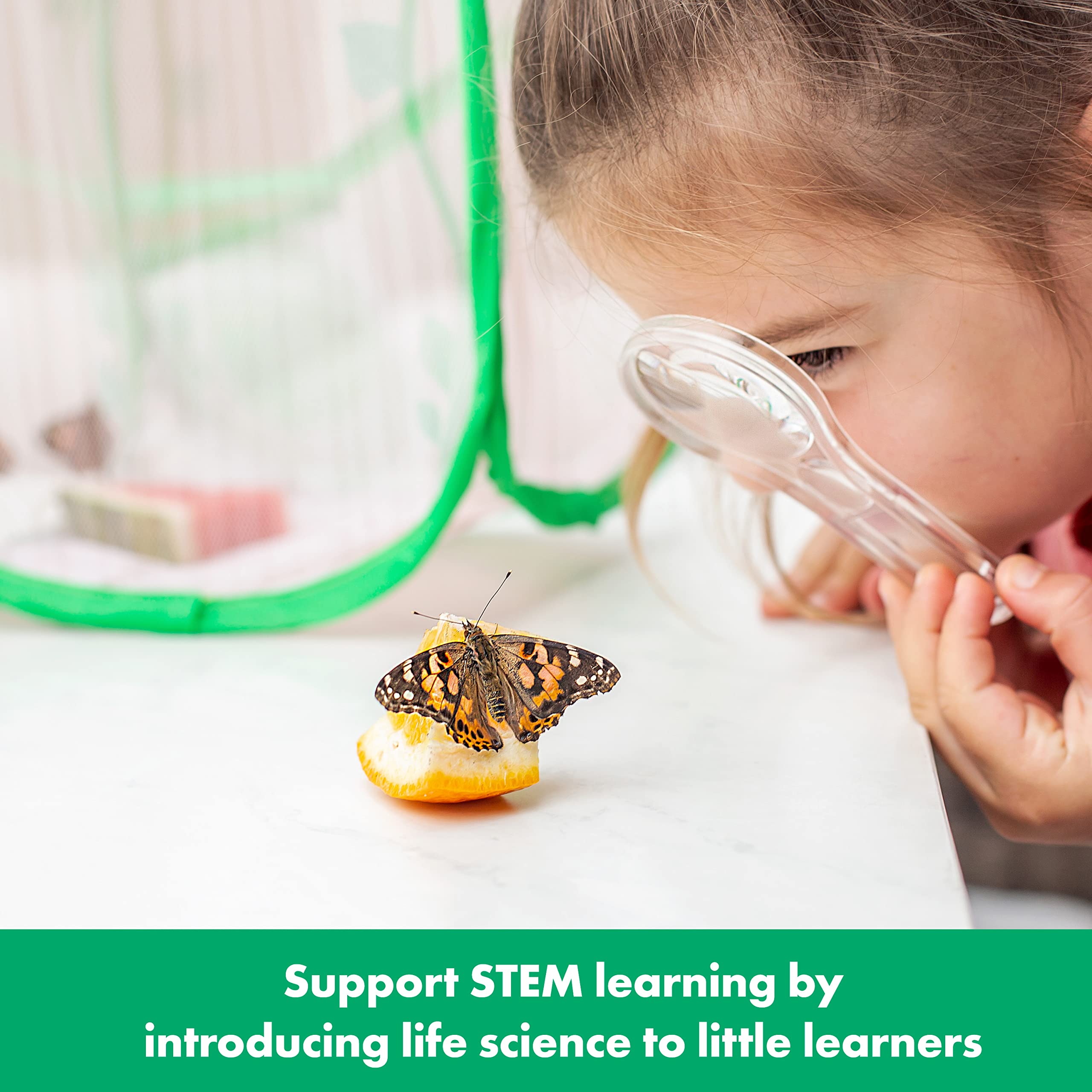 Educational Insights GeoSafari Jr. Butterfly Bungalow, Butterfly Garden Kit, Gift for Kids Ages 4+