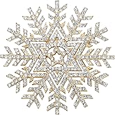 EVER FAITH Austrian Crystal Winter Snowflake Flower Star Elegant Brooch Pin Clear