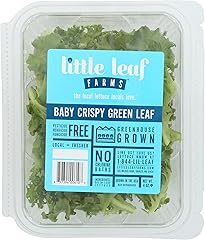 Little Leaf Farms, Salad Clamshell Green Conventional, 4 Ounce