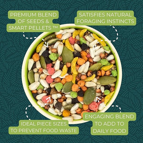 ZUPREEM SENSIBLE SEED BIRD FOOD, COCKATIEL, LOVEBIRD, QUAKER, SMALL CONURE, SEED AND PELLET BLEND FOR MEDIUM BIRDS, FOOD MIXER TOPPER, ENRICHING VARIETY, MADE IN THE USA, (M, 2 LBS)