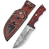 Custom Handmade Damascus Hunting Knife,10"Fixed Blade Bowie Knife with Horizontal Carry Sheath,Real Damascus Steel Knives with Red Padauk Wood Handle,EDC Full Tang Knives for men women, Adventure,Survival,Hiking,Camping,Gifts for Men Women
