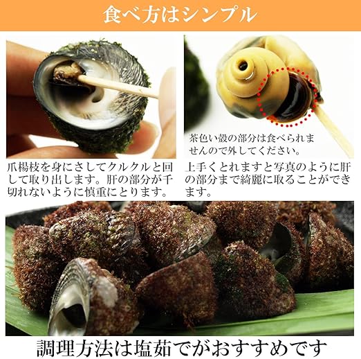 Amazon 尻高貝 シッタカ貝 500g シッタカ しったか 貝 希少な貝 千葉県産 三重県産 国産 日本産 魚介類 黒潮キッチン 鮮魚 通販