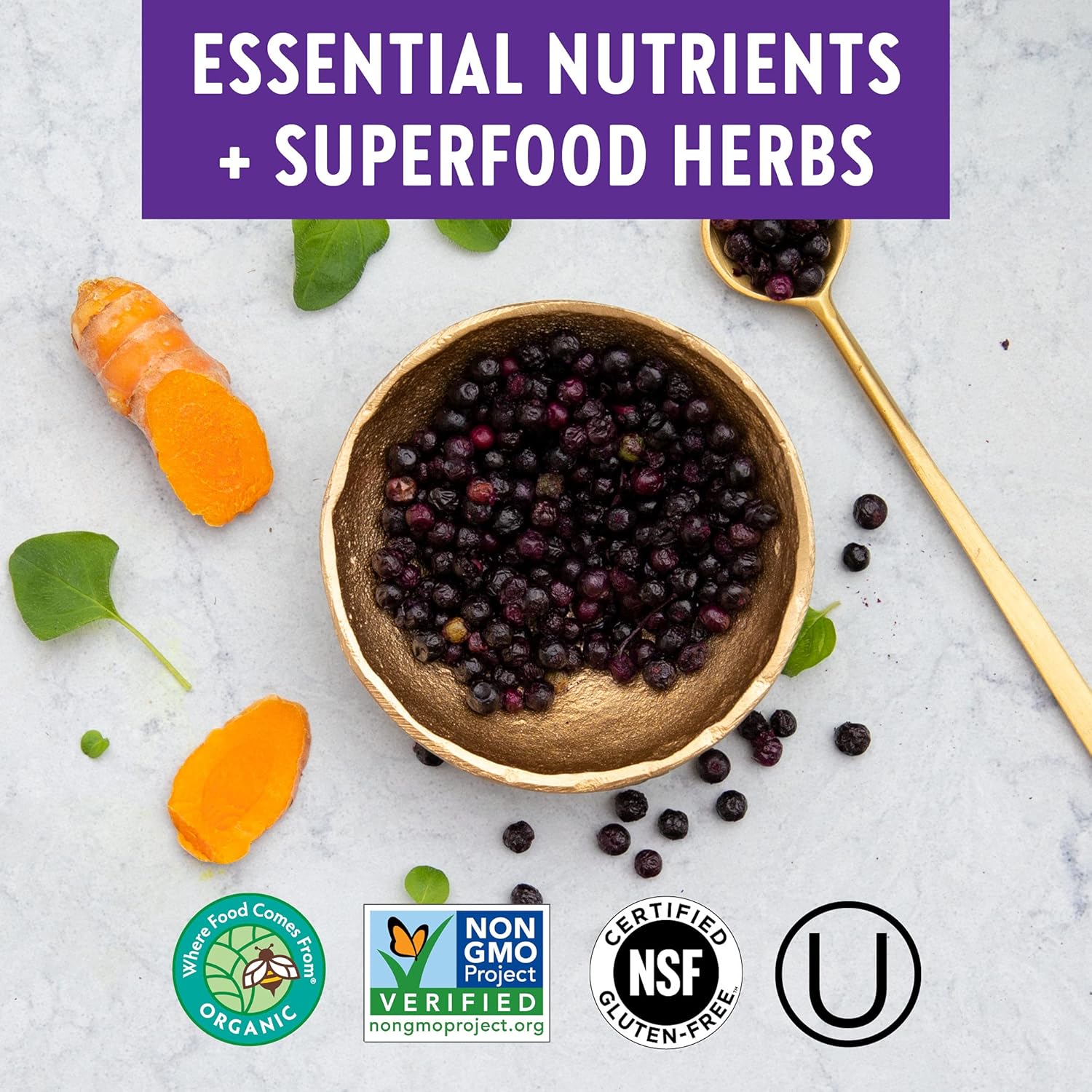 New Chapter Men’s Multivitamin + Immune Support – Every Man’s One Daily with Fermented Nutrients - 72 ct: Health & Personal Care