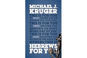 Hebrews For You: Giving You an Anchor for the Soul (Expository Bible Study Guide with commentary to help sermon preparation, personal devotions and Bible study leading) (God's Word for You)
