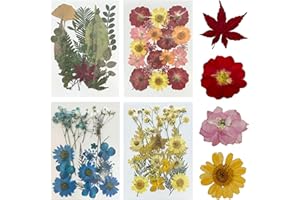 Woohome 78PCS Natural Dried Pressed Flowers and Natural Dried Pressed Leaves, Natural Dry Flowers Leaves for Resin Jewelry Candle Soap Vase Making Nail Card Scrapbook Art Craft Floral Decors