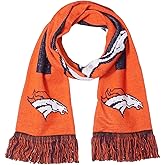 FOCO NFL unisex-adult 2016 Big Logo Scarf