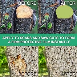 500g Tree Wound Sealer, Tree Wound Pruning
