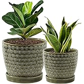 Swkien Plant Pots, Flower Pots, Planters for Indoor Plants(6.5+5.5inch), Flower Pots for Indoor Plant with Drainage Hole and Saucer, Ceramic Pots for Plants with Hole Mesh Pad,Reactive Glaze Green