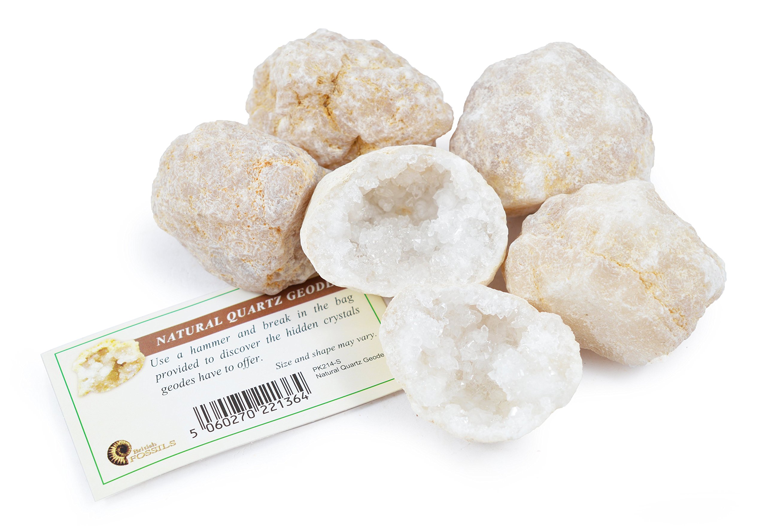 British Fossils Break Your Own Geodes - Ideal for Party Bags (Pack of 5)
