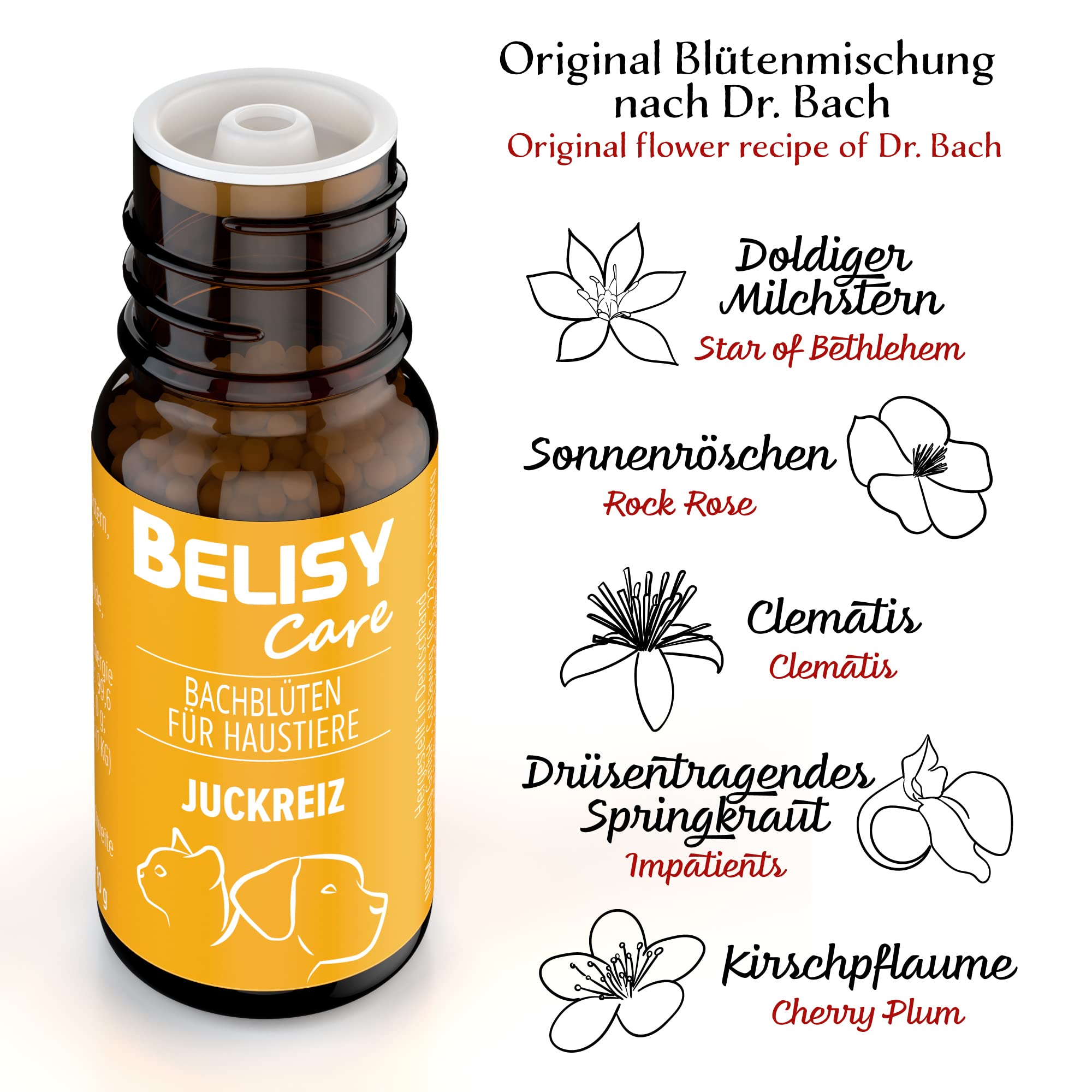 BELISY Juckreiz Bachblüten Kügelchen für Hunde & Katzen - gegen Juckreiz - Notfall Kügelchen für Haustiere - Fellpflege & Hautpflege - Original Mischung nach Dr. Bach - alkoholfrei -10g 3