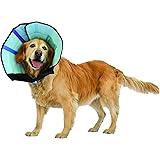 calm paws caring collar medium