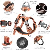 HEELE Dog Harness No Pull Reflective Front Back Leash Attachments S view 3