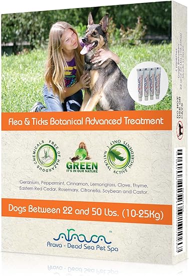 safest flea and tick medicine for dogs