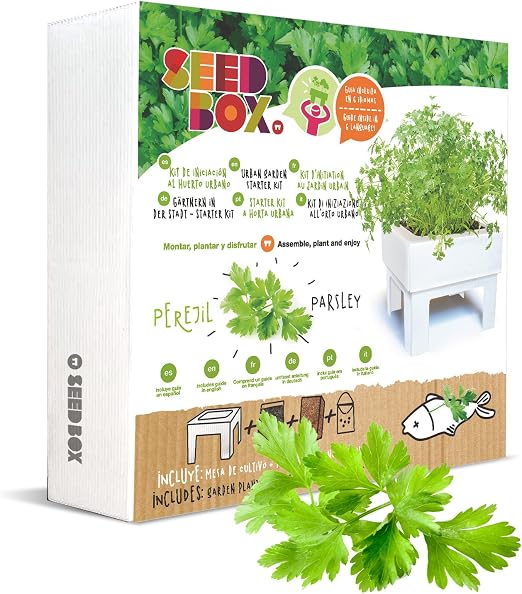 SeedBox SBMCUPE Huerto Urbano Cultívame Mini - perejil, 17x4x17 cm ...
