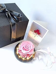 Handcrafted Real Preserved Roses in a Dome. Gift for Love one, Wife, Girlfriend, Valentine's Day, Mother's Day, Wedding Anniversary, Birthday (Pink)