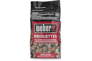 Weber Briquettes