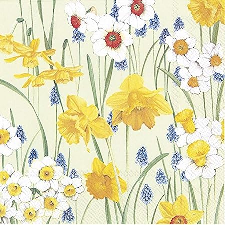 Scarica Gratis Images Votre Fleurs Du Printemps Hellgrunes 3 Couches Luxux Papier dernière salutations