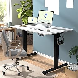 FLEXISPOT EN1 Whole-Piece Standing Desk - 48 x 30