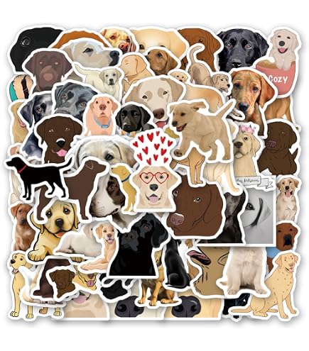 DOG ON BOARD VINYL STICKER - DESIGNED WITH LOVE - Paws Of Joy - Dog Brand